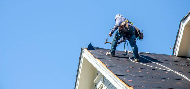 Best Storm Damage Roof Repair  in Bermuda Run, NC